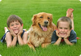 Kids and Dog enjoying Green grass
